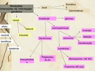 Mutações: 
Alterações da informação 
genética 
neutras 
benéficas 
deletérias 
efeito 
Somática 
s 
Germinativas 
gênicas 
cromossômicas 
local 
Amplitude 
Genômicas 
causa 
Natural 
Induzida 
Aneuploidias 
n 
Poliploidias 
3n,4n 
estruturais 
inversão 
deleção 
translocação 
Monossomia (44 X0) 
numéricas 
Trissomia (46 xxy) 
 