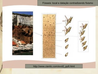 Fósseis: local e datação contradizendo fixismo 
http://www.cientic.com/evol2_pp8.html 
 