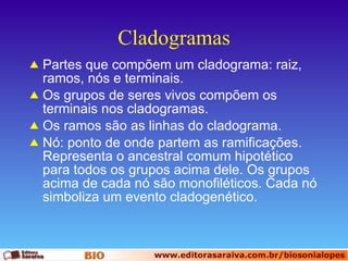 Cladogramas Partes que compõem um cladograma: raiz, ramos, nós e terminais.  Os grupos de seres vivos compõem os terminais nos cladogramas. Os ramos são as linhas do cladograma. Nó: ponto de onde partem as ramificações. Representa o ancestral comum hipotético para todos os grupos acima dele. Os grupos acima de cada nó são monofiléticos. Cada nó simboliza um evento cladogenético. 