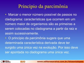 Princípio da parcimônia Marcar o menor número possível de passos no cladograma: características que ocorrem em um número maior de organismos são as primeiras a serem colocadas no cladograma a partir da raiz e assim sucessivamente. O princípio da parcimônia sugere que uma determinada característica derivada deve ter surgido uma única vez na evolução. Por isso deve ser apontada no cladograma uma única vez. 