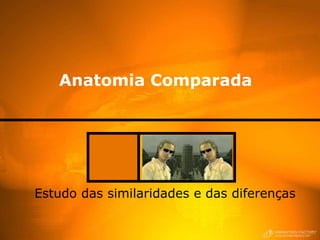 Anatomia Comparada




Estudo das similaridades e das diferenças
 