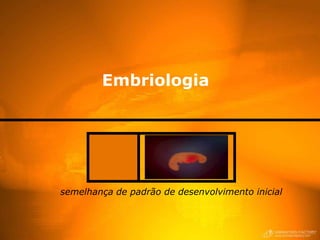 Embriologia




semelhança de padrão de desenvolvimento inicial
 