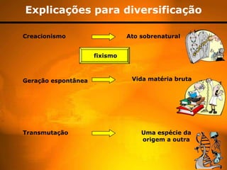 Explicações para diversificação

Creacionismo                   Ato sobrenatural


                     fixismo



Geração espontânea              Vida matéria bruta




Transmutação                       Uma espécie da
                                   origem a outra
 
