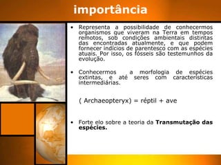 importância
• Representa a possibilidade de conhecermos
  organismos que viveram na Terra em tempos
  remotos, sob condições ambientais distintas
  das encontradas atualmente, e que podem
  fornecer indícios de parentesco com as espécies
  atuais. Por isso, os fósseis são testemunhos da
  evolução.

• Conhecermos     a morfologia de espécies
  extintas, e até seres com características
  intermediárias.


  ( Archaeopteryx) = réptil + ave


• Forte elo sobre a teoria da Transmutação das
  espécies.
 