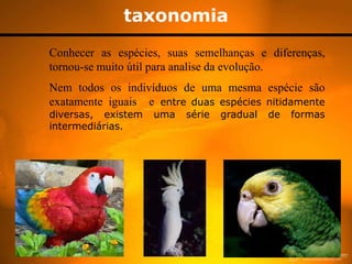 taxonomia
Conhecer as espécies, suas semelhanças e diferenças,
tornou-se muito útil para analise da evolução.
Nem todos os indivíduos de uma mesma espécie são
exatamente iguais e entre duas espécies nitidamente
diversas, existem   uma   série   gradual   de   formas
intermediárias.
 
