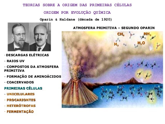 Evolucao