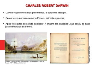  Darwin viajou cinco anos pelo mundo, a bordo do “Beagle”.
 Percorreu o mundo coletando fósseis, animais e plantas.
 Após vinte anos de estudo publicou “ A origem das espécies”, que serviu de base
para comprovar sua teoria.
Imagem: Conrad Martens/ HMS Beagle in the seaways of Tierra del
Fuego, (1831-1836)/ public domain
Imagem:Stw/publicdomain
CHARLES ROBERT DARWINCHARLES ROBERT DARWIN
 