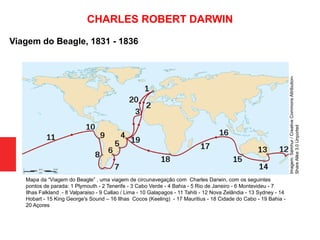 Viagem do Beagle, 1831 - 1836
Mapa da “Viagem do Beagle” , uma viagem de circunavegação com Charles Darwin, com os seguintes
pontos de parada: 1 Plymouth - 2 Tenerife - 3 Cabo Verde - 4 Bahia - 5 Rio de Janeiro - 6 Montevideu - 7
Ilhas Falkland - 8 Valparaiso - 9 Callao / Lima - 10 Galapagos - 11 Tahiti - 12 Nova Zelândia - 13 Sydney - 14
Hobart - 15 King George's Sound – 16 Ilhas Cocos (Keeling) - 17 Mauritius - 18 Cidade do Cabo - 19 Bahia -
20 Açores
Imagem:Sémhur/CreativeCommonsAttribution-
ShareAlike3.0Unported
CHARLES ROBERT DARWIN
 