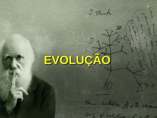 EVOLUÇÃOEVOLUÇÃO
 