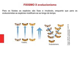 Para os fixistas as espécies são fixas e imutáveis, enquanto que para os
evolucionistas as espécies modificam-se ao longo do tempo.
FIXISMO X evolucionismo
Imagem:SEE-PE,redesenhadoapartirde
imagemdeAutorDesconhecido.
 
