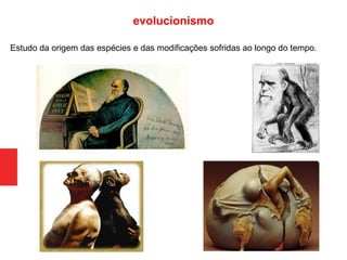 Estudo da origem das espécies e das modificações sofridas ao longo do tempo.
evolucionismo
 