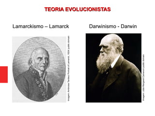 Lamarckismo – Lamarck Darwinismo - Darwin
Imagem:JuliaMargaretCameron/publicdomain
Imagem:AmbroiseTardieu/PortraitofLamarck,1824/publicdomain
TEORIA EVOLUCIONISTASTEORIA EVOLUCIONISTAS
 