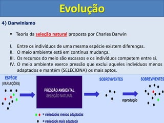 4) Darwinismo
 Teoria da seleção natural proposta por Charles Darwin
I. Entre os indivíduos de uma mesma espécie existem diferenças.
II. O meio ambiente está em contínua mudança.
III. Os recursos do meio são escassos e os indivíduos competem entre si.
IV. O meio ambiente exerce pressão que exclui aqueles indivíduos menos
adaptados e mantém (SELECIONA) os mais aptos.
Evolução
 