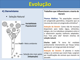 4) Darwinismo
 Seleção Natural
Evolução
Variabilidade
Populacional
Funil = Meio ambiente
Seleção dos mais aptos
(Adaptação)
Trabalhos que influenciaram a teoria de
Darwin
Thomas Malthus: “As populações crescem
em progressão geomética, enquanto que os
recursos do meio em progressão aritmética”.
Dedução de Darwin: Como não há recursos
disponíveis para todos (água, alimentos,
abrigos, etc.) os indivíduos competem entre si
e sobrevivem aqueles melhores adaptados.
Essa “luta pela vida” Darwin chamou de
seleção natural.
Charles Lyell: “A terra foi moldada
praticamente inteiramente por forças lentas
agindo por um longo período de tempo”.
Dedução de Darwin: O planeta é muito
antigo e os animais que vivem hoje, surgiram
por modificações de animais que viveram no
passado.
 