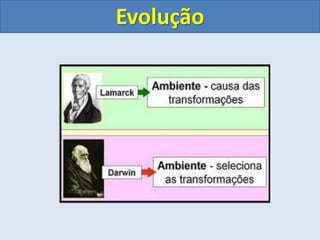 Evolução
 