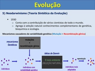 5) Neodarwinismo (Teoria Sintética da Evolução)
 1930
o Conta com a contribuição de vários cientistas de todo o mundo.
o Agrega à seleção natural conhecimentos complementares de genética,
bioquímica e ecologia.
Mecanismos causadores da variabilidade genética (Mutação + Recombinação gênica)
Evolução
 
