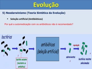 5) Neodarwinismo (Teoria Sintética da Evolução)
 Seleção artificial (Antibióticos)
Evolução
Por quê a automedicação com os antibióticos não é recomendado?
 
