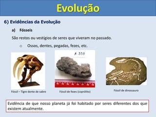 6) Evidências da Evolução
a) Fósseis
São restos ou vestígios de seres que viveram no passado.
o Ossos, dentes, pegadas, fezes, etc.
Evolução
Fóssil – Tigre dente de sabre Fóssil de dinossauro
Fóssil de fezes (coprólito)
Evidência de que nosso planeta já foi habitado por seres diferentes dos que
existem atualmente.
 