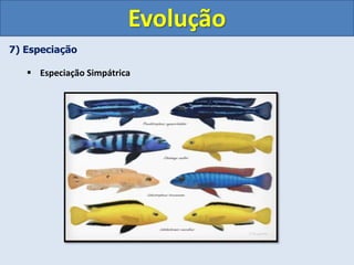 7) Especiação
 Especiação Simpátrica
Evolução
 