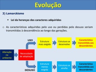 3) Lamarckismo
 Lei da heranças dos caracteres adquiridos
o As características adquiridas pelo uso ou perdidas pelo desuso seriam
transmitidas à descendência ao longo das gerações.
Evolução
Alteração
no
ambiente
Necessidade
de adaptação
Estrutura
mais exigida
Estrutura
menos
exigida
Estrutura se
desenvolve
Estrutura se
atrofia
Característica
transmitida aos
descendentes
Característica
transmitida aos
descendentes
USO
DESUSO
 