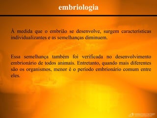 embriologia À medida que o embrião se desenvolve, surgem características individualizantes e as semelhanças diminuem.  Essa semelhança também foi verificada no desenvolvimento embrionário de todos animais. Entretanto, quando mais diferentes são os organismos, menor é o período embrionário comum entre eles.  