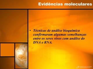 Evidências moleculares Técnicas de análise bioquímica confirmaram algumas semelhanças  entre os seres vivos com análise do DNA e RNA. 
