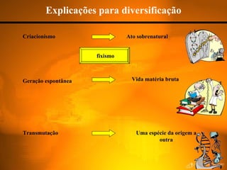 Explicações para diversificação Criacionismo Ato sobrenatural Geração espontânea Vida matéria bruta Transmutação Uma espécie da origem a outra fixismo 