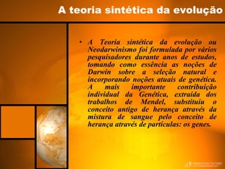 A teoria sintética da evolução A Teoria sintética da evolução ou Neodarwinismo foi formulada por vários pesquisadores durante anos de estudos, tomando como essência as noções de Darwin sobre a seleção natural e incorporando noções atuais de genética. A mais importante contribuição individual da Genética, extraída dos trabalhos de Mendel, substituiu o conceito antigo de herança através da mistura de sangue pelo conceito de herança através de partículas: os genes. 