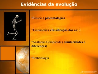 Evidências da evolução Fósseis (  paleontologia ) Taxonomia (  classificação dos s.v.  ) Anatomia Comparada (  similaridades e  diferenças ) Embriologia 