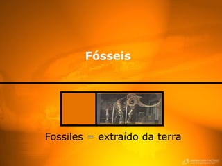 Fósseis Fossiles = extraído da terra   