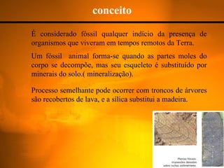 conceito É considerado fóssil qualquer indício da presença de organismos que viveram em tempos remotos da Terra. Um fóssil  animal forma-se quando as partes moles do corpo se decompõe, mas seu esqueleto é substituído por minerais do solo.( mineralização). Processo semelhante pode ocorrer com troncos de árvores são recobertos de lava, e a sílica substitui a madeira. 