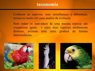 taxonomia Conhecer as espécies, suas semelhanças e diferenças, tornou-se muito útil para analise da evolução. Nem todos os indivíduos de uma mesma espécie são exatamente iguais  e entre duas espécies nitidamente diversas, existem uma série gradual de formas intermediárias. 