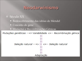 Século XX Redescobrimento das idéias de Mendel Conceito de gene Mutações e Recombinações Gênicas 