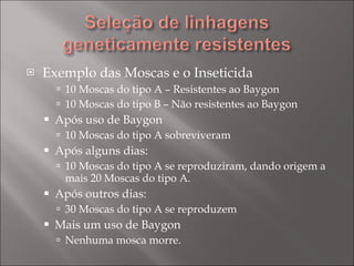 Exemplo das Moscas e o Inseticida 10 Moscas do tipo A – Resistentes ao Baygon 10 Moscas do tipo B – Não resistentes ao Baygon Após uso de Baygon 10 Moscas do tipo A sobreviveram Após alguns dias: 10 Moscas do tipo A se reproduziram, dando origem a mais 20 Moscas do tipo A. Após outros dias: 30 Moscas do tipo A se reproduzem Mais um uso de Baygon Nenhuma mosca morre. 