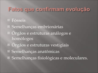 Fósseis Semelhanças embrionárias Órgãos e estruturas análogos e homólogos Órgãos e estruturas vestigiais Semelhanças anatômicas Semelhanças fisiológicas e moleculares.  