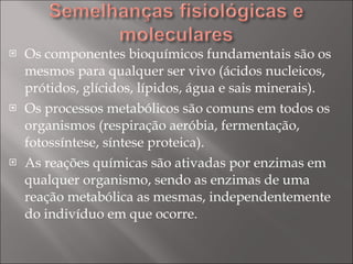 Os componentes bioquímicos fundamentais são os mesmos para qualquer ser vivo (ácidos nucleicos, prótidos, glícidos, lípidos, água e sais minerais). Os processos metabólicos são comuns em todos os organismos (respiração aeróbia, fermentação, fotossíntese, síntese proteica). As reações químicas são ativadas por enzimas em qualquer organismo, sendo as enzimas de uma reação metabólica as mesmas, independentemente do indivíduo em que ocorre. 