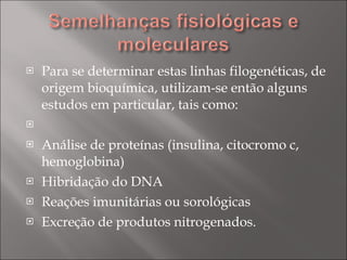 Para se determinar estas linhas filogenéticas, de origem bioquímica, utilizam-se então alguns estudos em particular, tais como:   Análise de proteínas (insulina, citocromo c, hemoglobina) Hibridação do DNA Reações imunitárias ou sorológicas Excreção de produtos nitrogenados. 