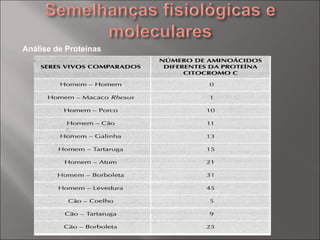 Análise de Proteínas 