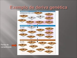 Perda de variabilidade 