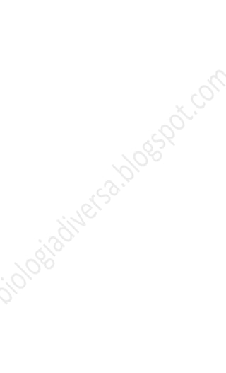 Evolucao e origem_da_vida