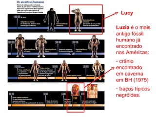 Luzia é o mais
antigo fóssil
humano já
encontrado
nas Américas:
- crânio
encontrado
em caverna
em BH (1975)
- traços típicos
negróides.
Lucy
 