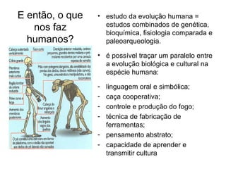 E então, o que
nos faz
humanos?
• estudo da evolução humana =
estudos combinados de genética,
bioquímica, fisiologia comparada e
paleoarqueologia.
• é possível traçar um paralelo entre
a evolução biológica e cultural na
espécie humana:
- linguagem oral e simbólica;
- caça cooperativa;
- controle e produção do fogo;
- técnica de fabricação de
ferramentas;
- pensamento abstrato;
- capacidade de aprender e
transmitir cultura
 
