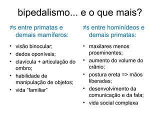 bipedalismo... e o que mais?
≠s entre primatas e
demais mamíferos:
• visão binocular;
• dedos oponíveis;
• clavícula + articulação do
ombro;
• habilidade de
manipulação de objetos;
• vida “familiar”
≠s entre hominídeos e
demais primatas:
• maxilares menos
proeminentes;
• aumento do volume do
crânio;
• postura ereta => mãos
liberadas;
• desenvolvimento da
comunicação e da fala;
• vida social complexa
 