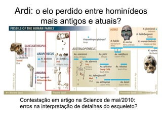 Contestação em artigo na Science de mai/2010:
erros na interpretação de detalhes do esqueleto?
Ardi: o elo perdido entre hominídeos
mais antigos e atuais?
 