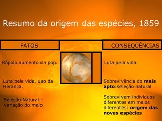 Resumo da origem das espécies, 1859

       FATOS                CONSEQÜÊNCIAS


Rápido aumento na pop.   Luta pela vida.



Luta pela vida, uso da   Sobrevivência do mais
Herança.                 apto:seleção natural

                         Sobrevivem indivíduos
Seleção Natural -
                         diferentes em meios
Variação do meio
                         diferentes: origem das
                         novas espécies
 