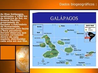 Dados biogeográficos :

As ilhas Galápagos,
localizadas a 1000 km
da América do Sul, no
Oceano Pacífico,
propriedade do
Equador e Patrimônio
da Humanidade,
apresentam uma fauna
e flora peculiares.
Darwin observou que
haviam variedades
dentro de cada
espécie, distribuídas
cada uma em sua ilha.
 