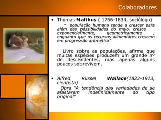 Colaboradores

• Thomas Malthus ( 1766-1834, sociólogo)
     “ população humana tende a crescer para
  além das possibilidades do meio, cresce
  exponencialmente,      geometricamente      ,
  enquanto que os recursos alimentares crescem
  em progressão aritmética”

    Livro sobre as populações, afirma que
  muitas espécies produzem um grande nº
  de descendentes, mas apenas alguns
  poucos sobrevivem.


• Alfred     Russel     Wallace(1823-1913,
  cientista)
    Obra “A tendência das variedades de se
  afastarem    indefinidamente   do    tipo
  original”
 