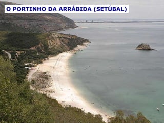 O PORTINHO DA ARRÁBIDA (SETÚBAL) 