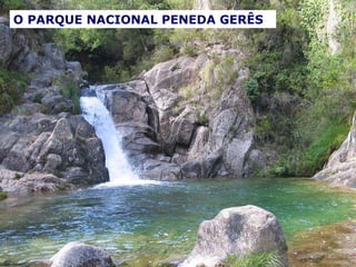 O PARQUE NACIONAL PENEDA GERÊS 