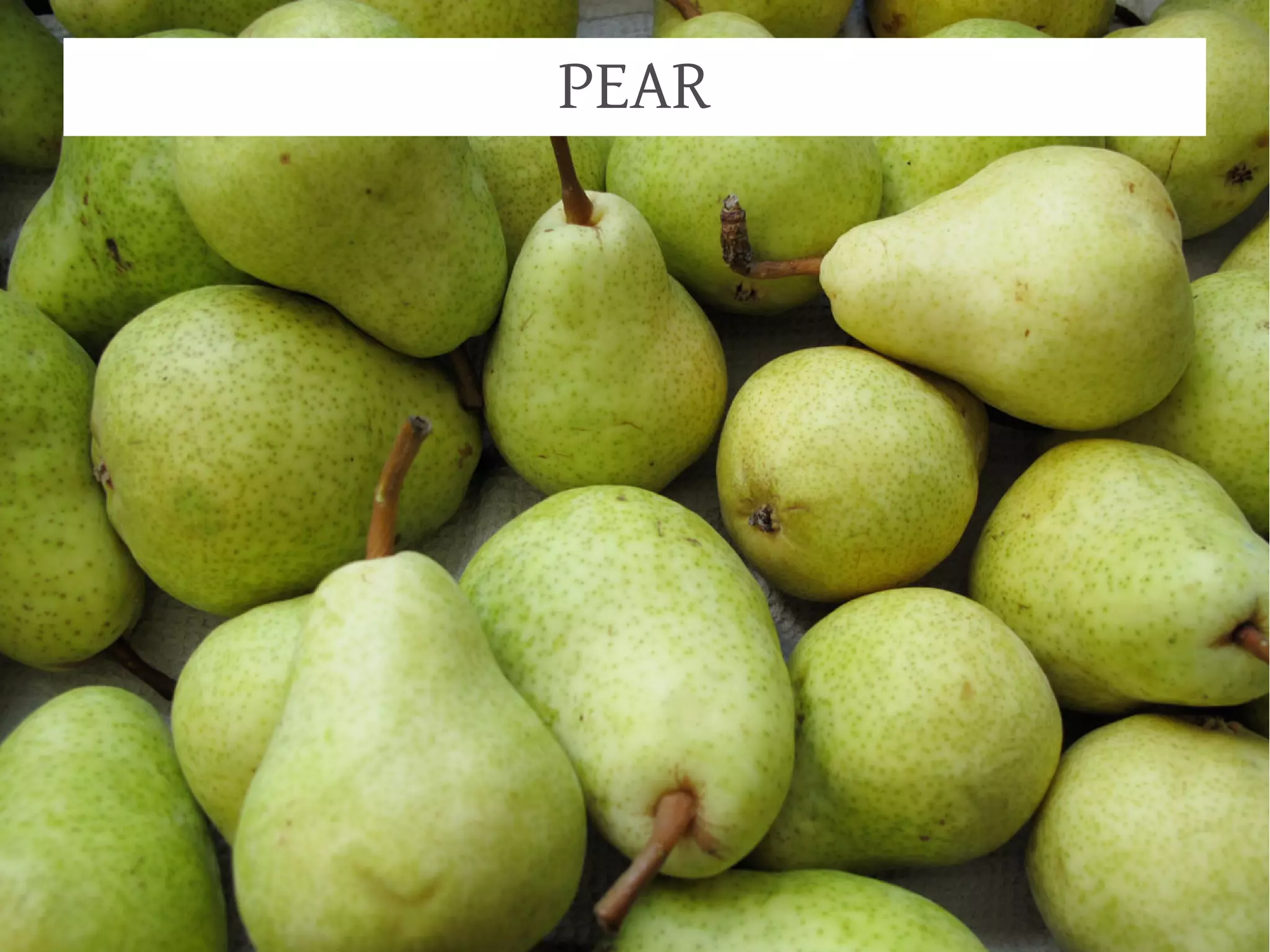 PEAR
 